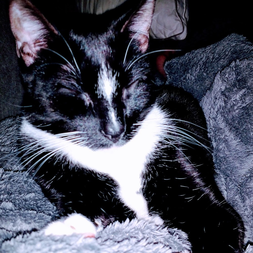 Meet your Posher, Wendy